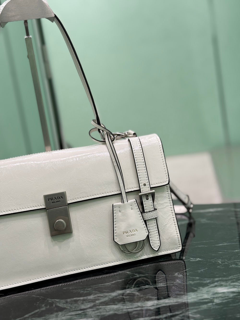 Dragons Bags Pradn Luxury Bag --102080