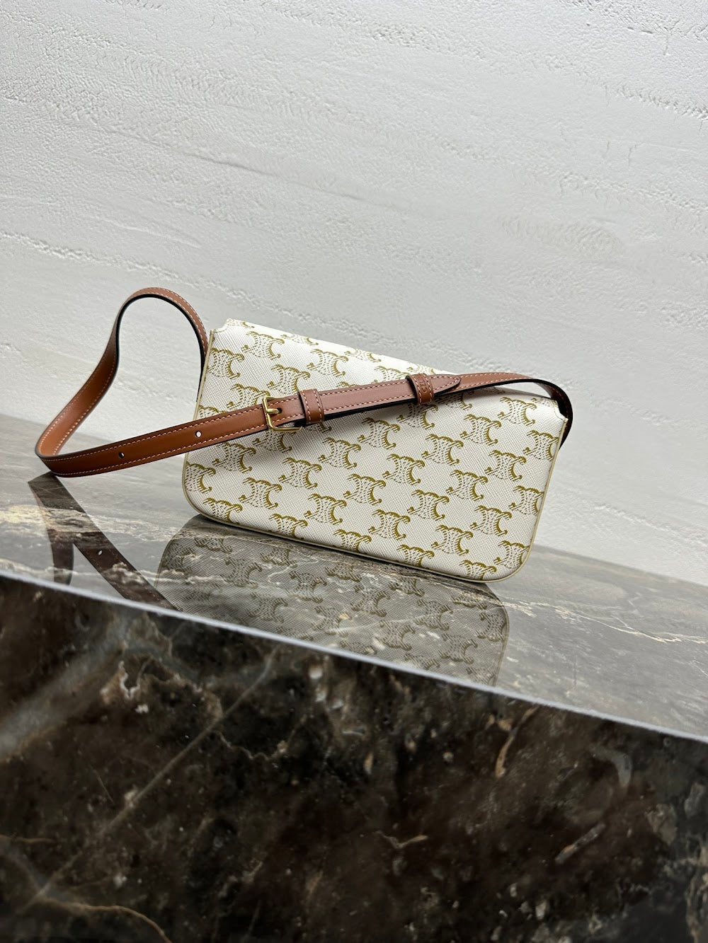 Dragons Bags Celine Luxury Bag --112429