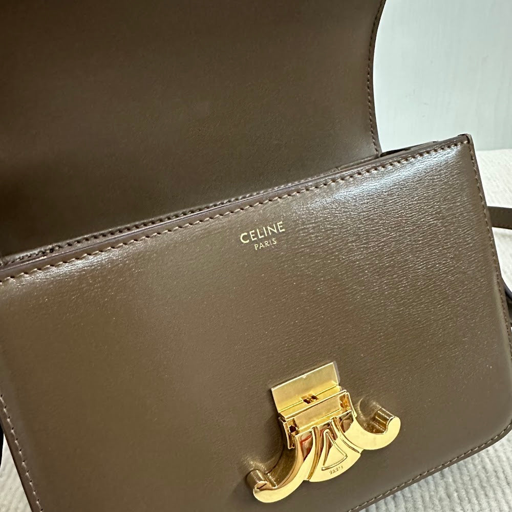 Dragons Bags Celine Luxury Bag --111988