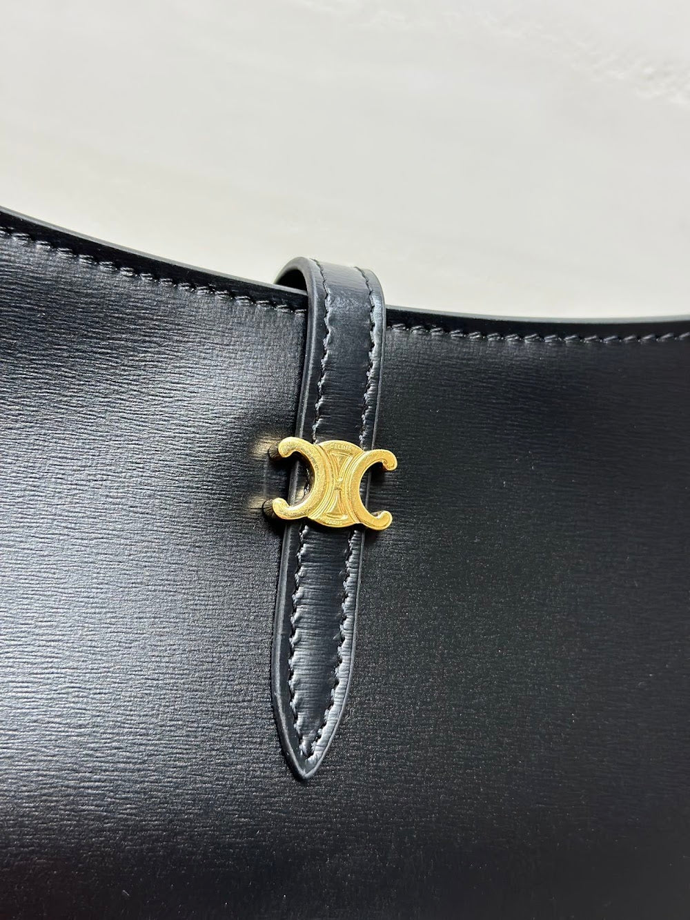 Dragons Bags Celine Luxury Bag --112432