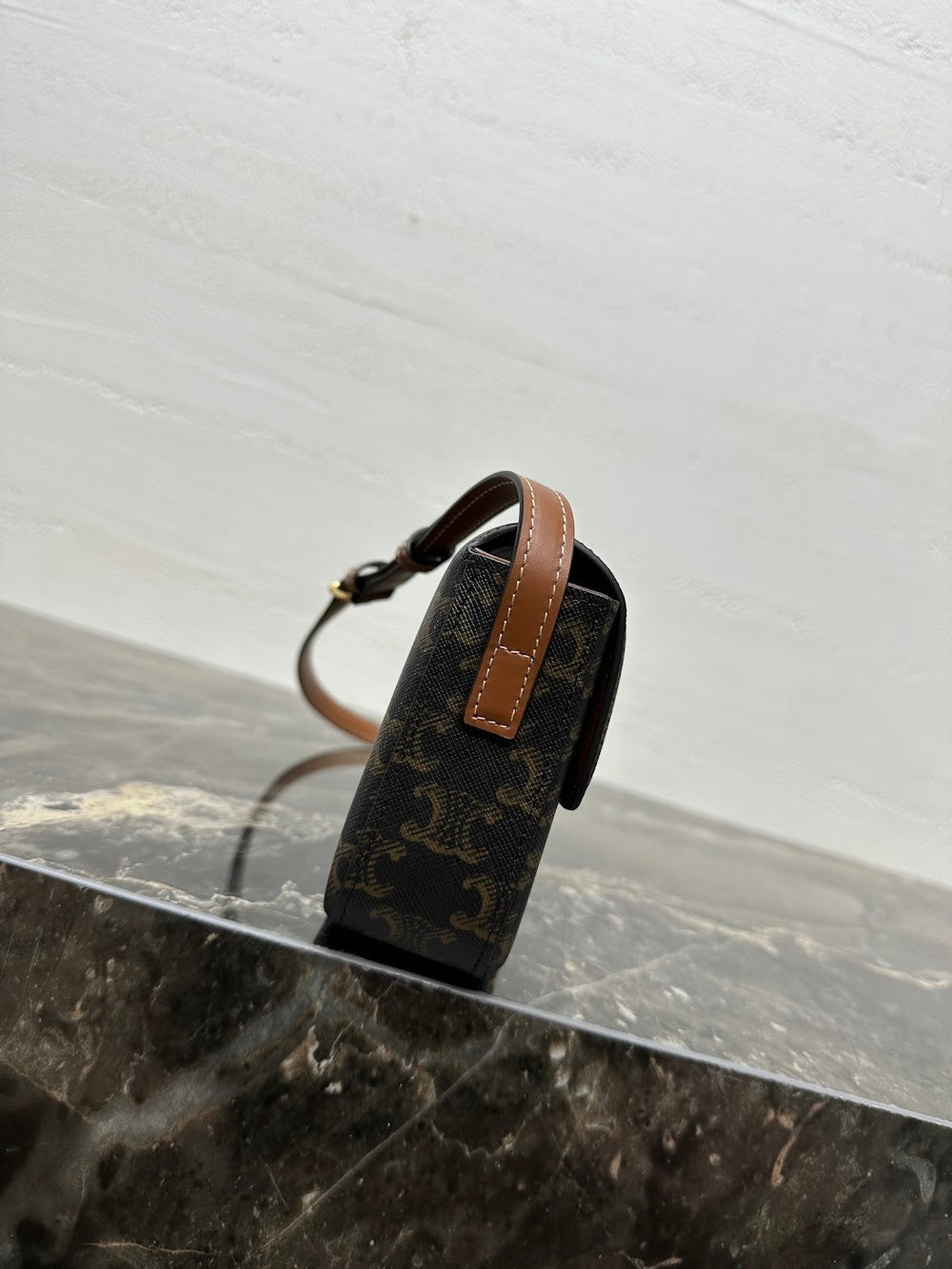 Dragons Bags Celine Luxury Bag --112428