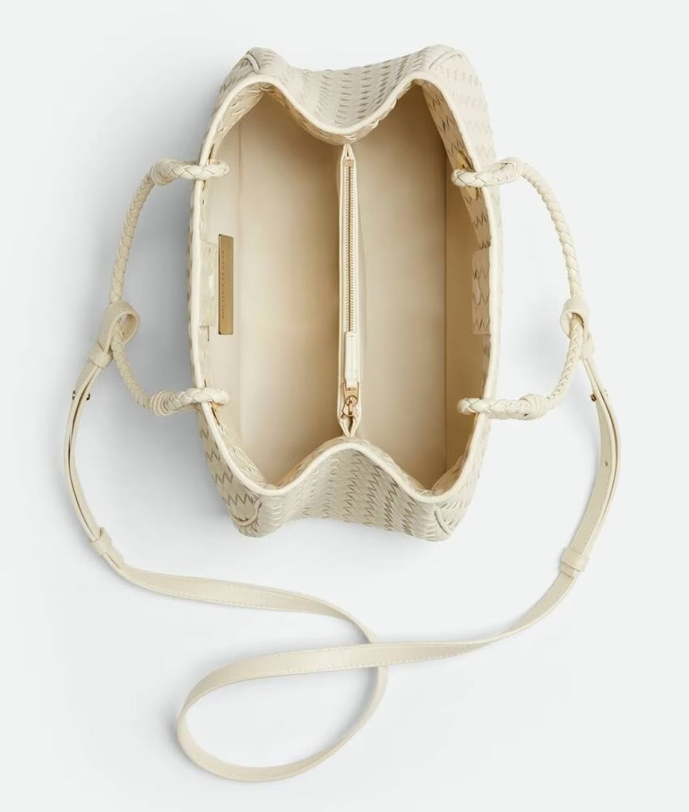 Dragons Bags Bottegan Luxury Bag --91447