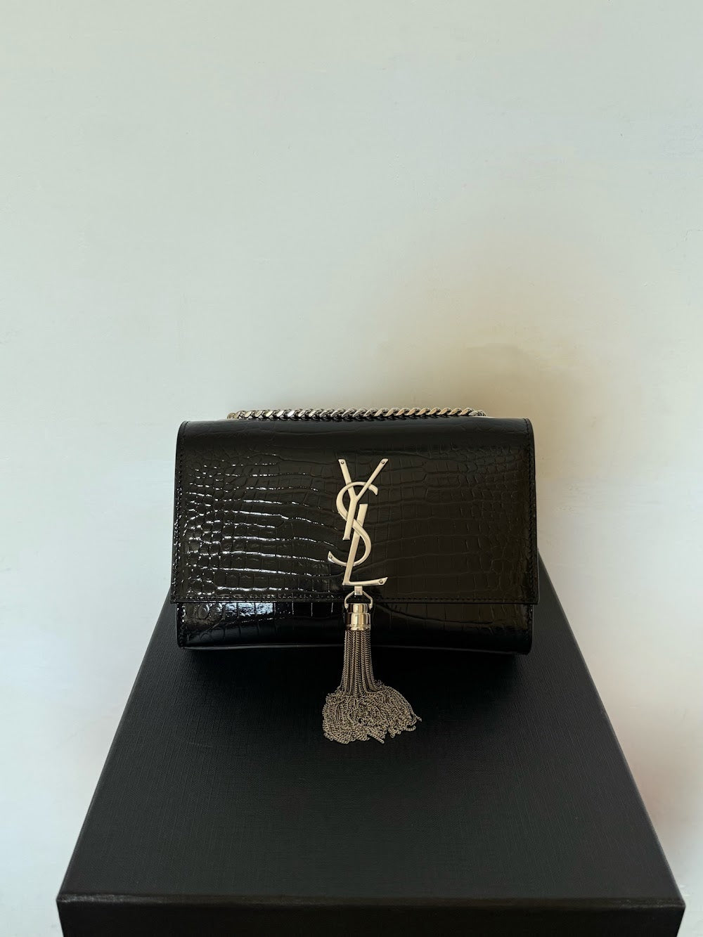 Dragons Bags YSLn Luxury Bag --119992