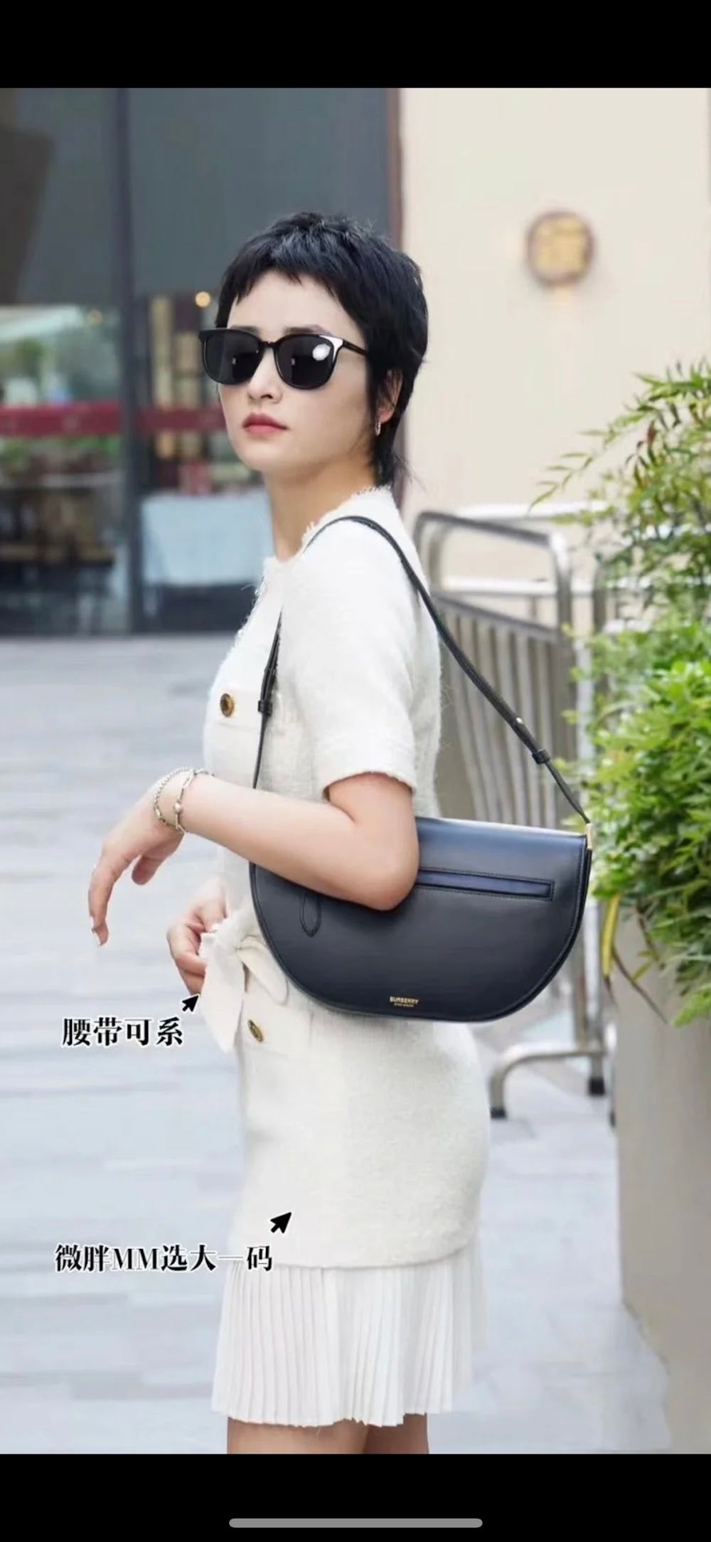 Dragons Bags Burberryn Luxury Bag --91674