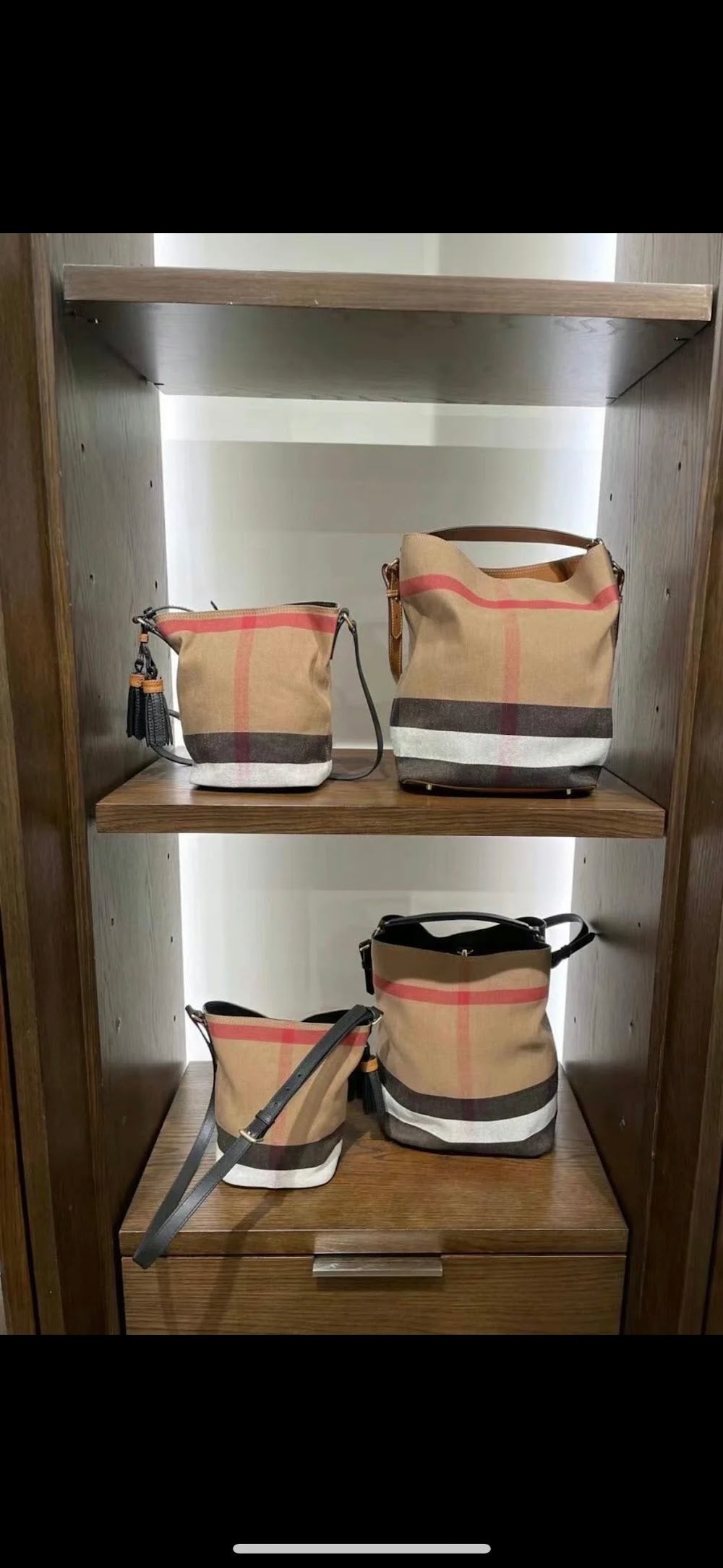 Dragons Bags Burberryn Luxury Bag --91942