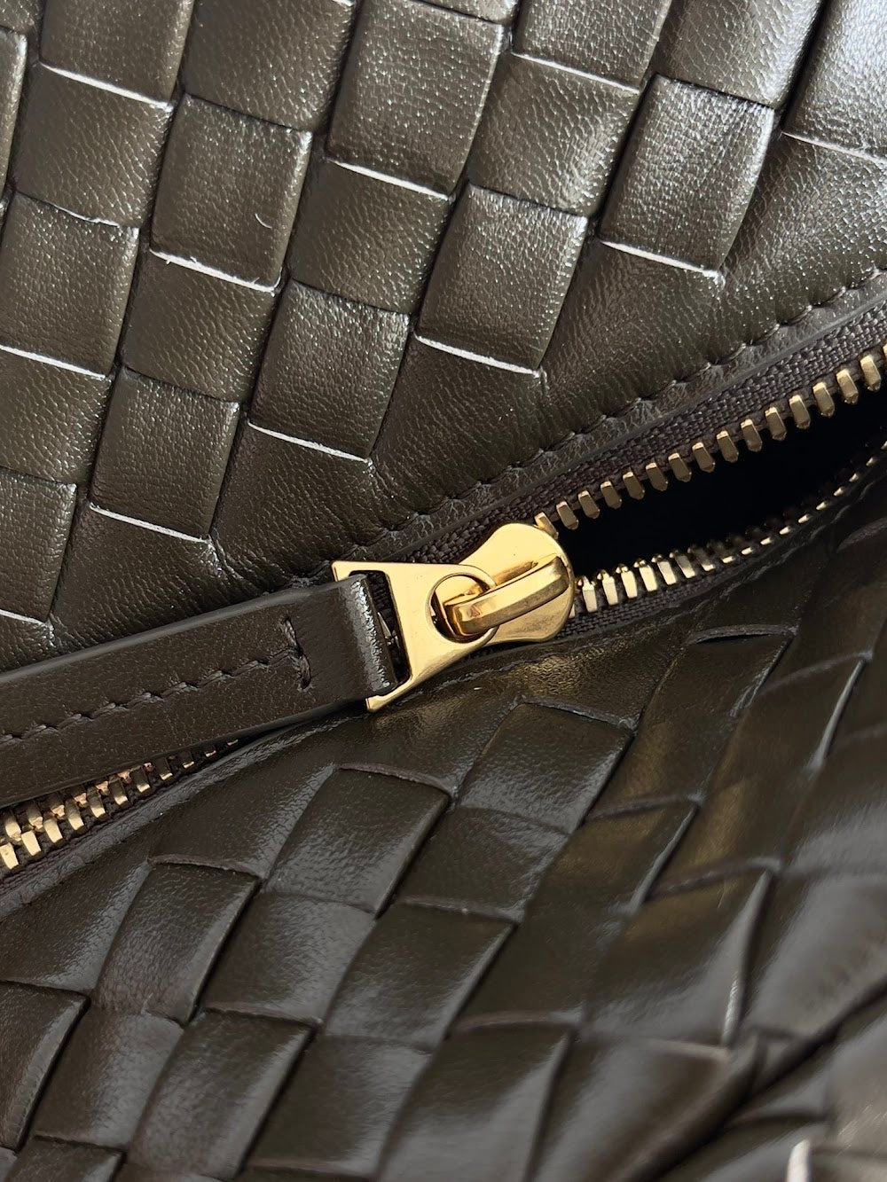 Dragons Bags Bottegan Luxury Bag --91370
