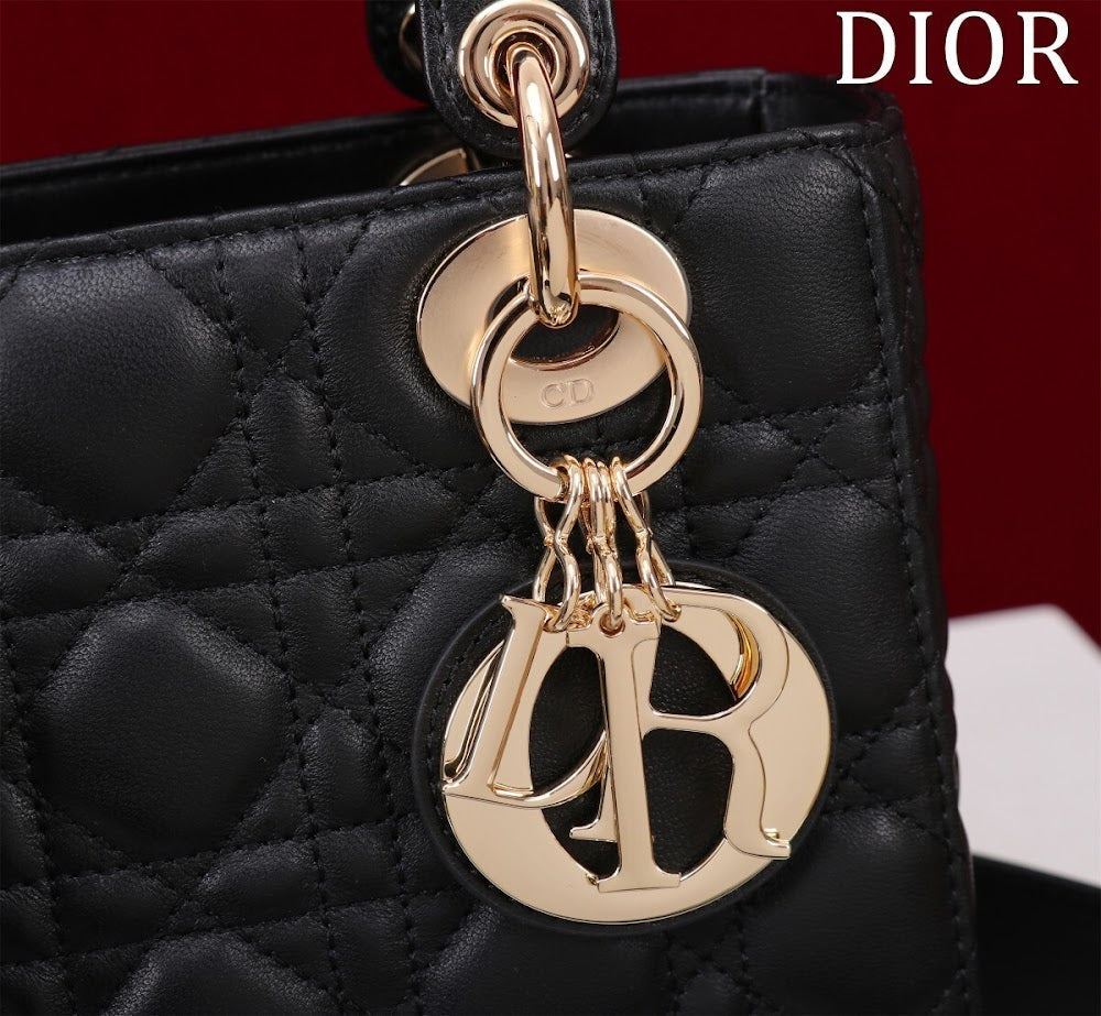 Dragons BagsDiorn Luxury Bag --115923