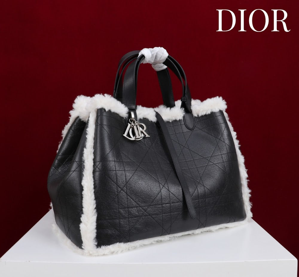 Dragons BagsDiorn Luxury Bag --114890
