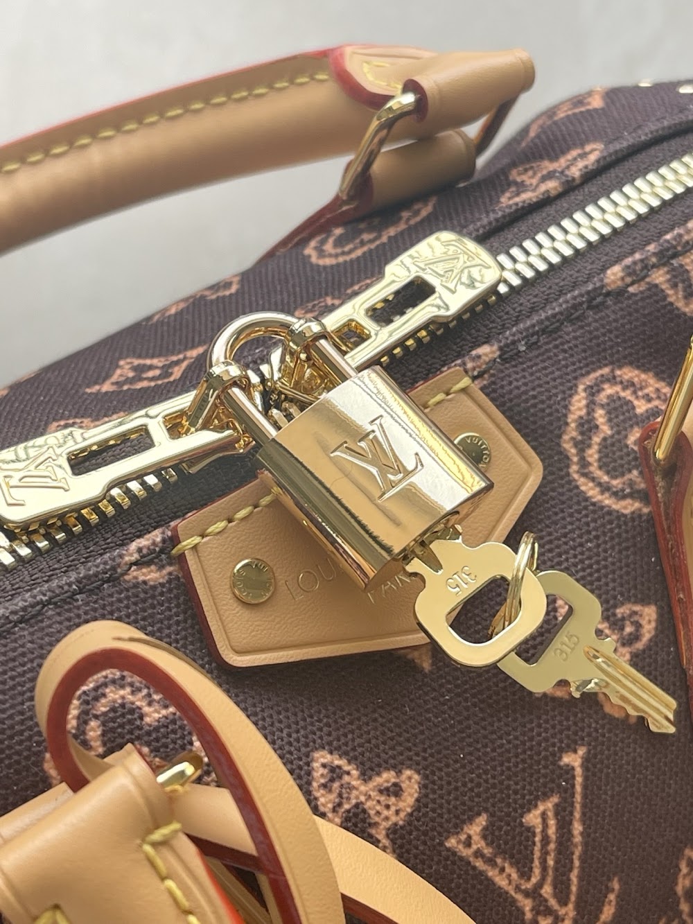 Dragons Bags ln Luxury Bag --96529