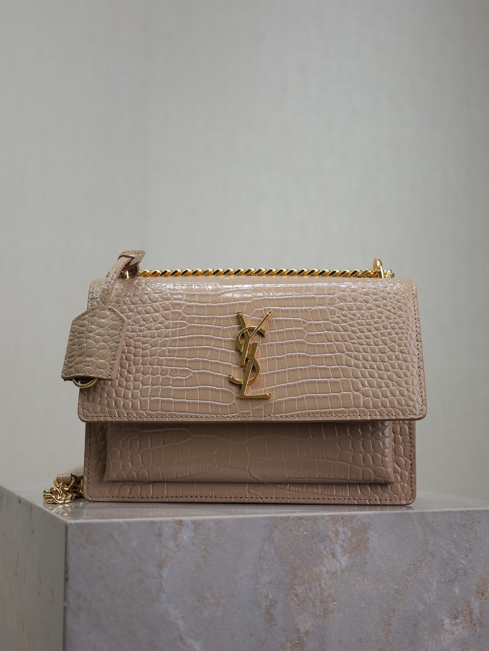 Dragons Bags YSLn Luxury Bag --119534