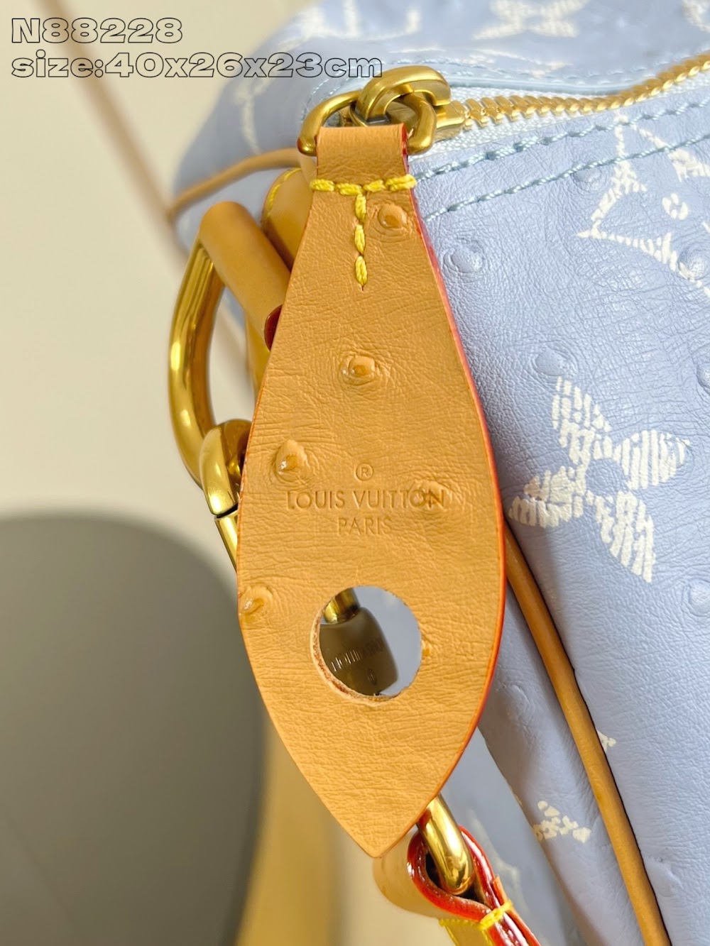 Dragons Bags ln Luxury Bag --97540