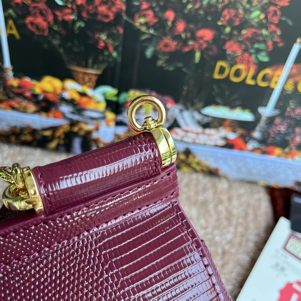 Dragons Bags DGn Luxury Bag --94056
