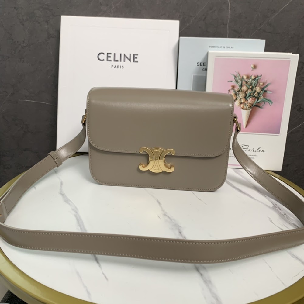 Dragons Bags Celine Luxury Bag --112001
