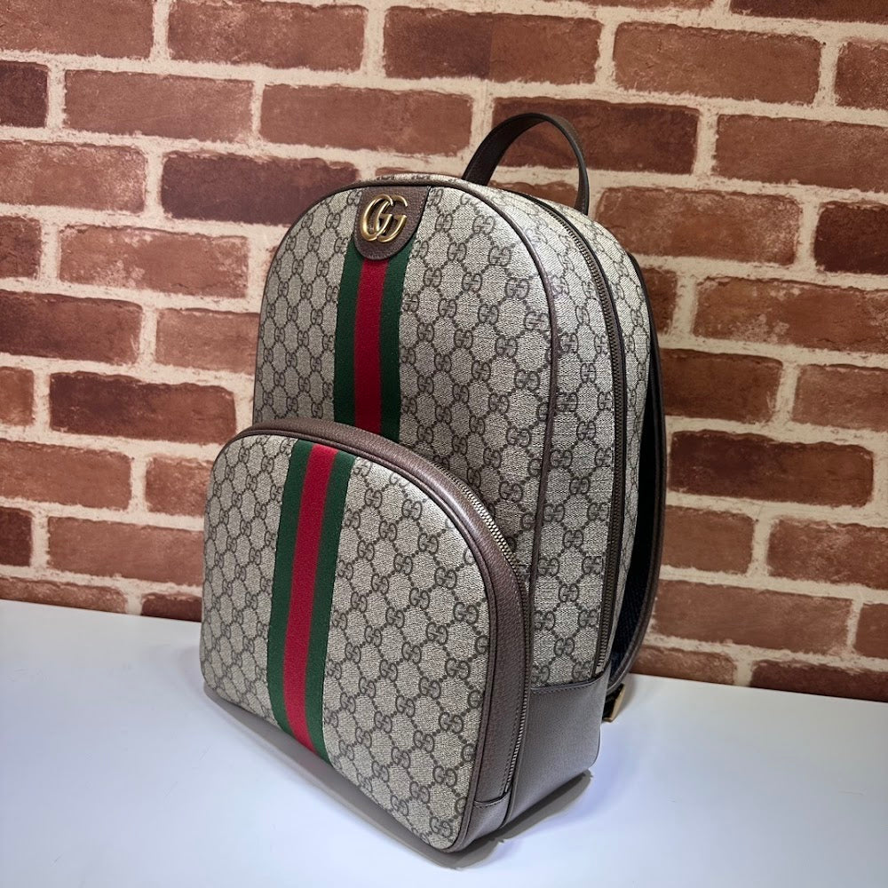 Dragons Bags Guccin Luxury Bag --95339
