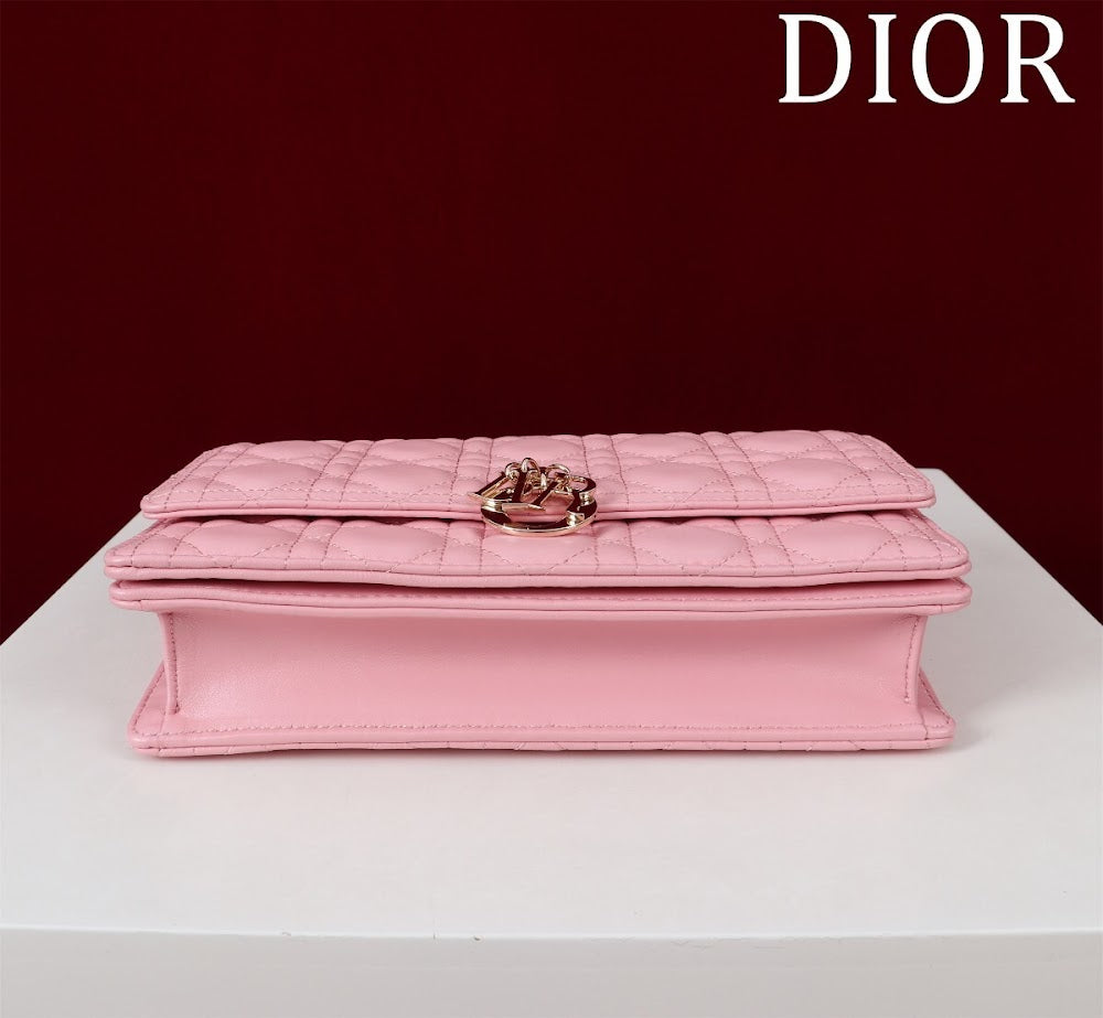 Dragons BagsDiorn Luxury Bag --116300