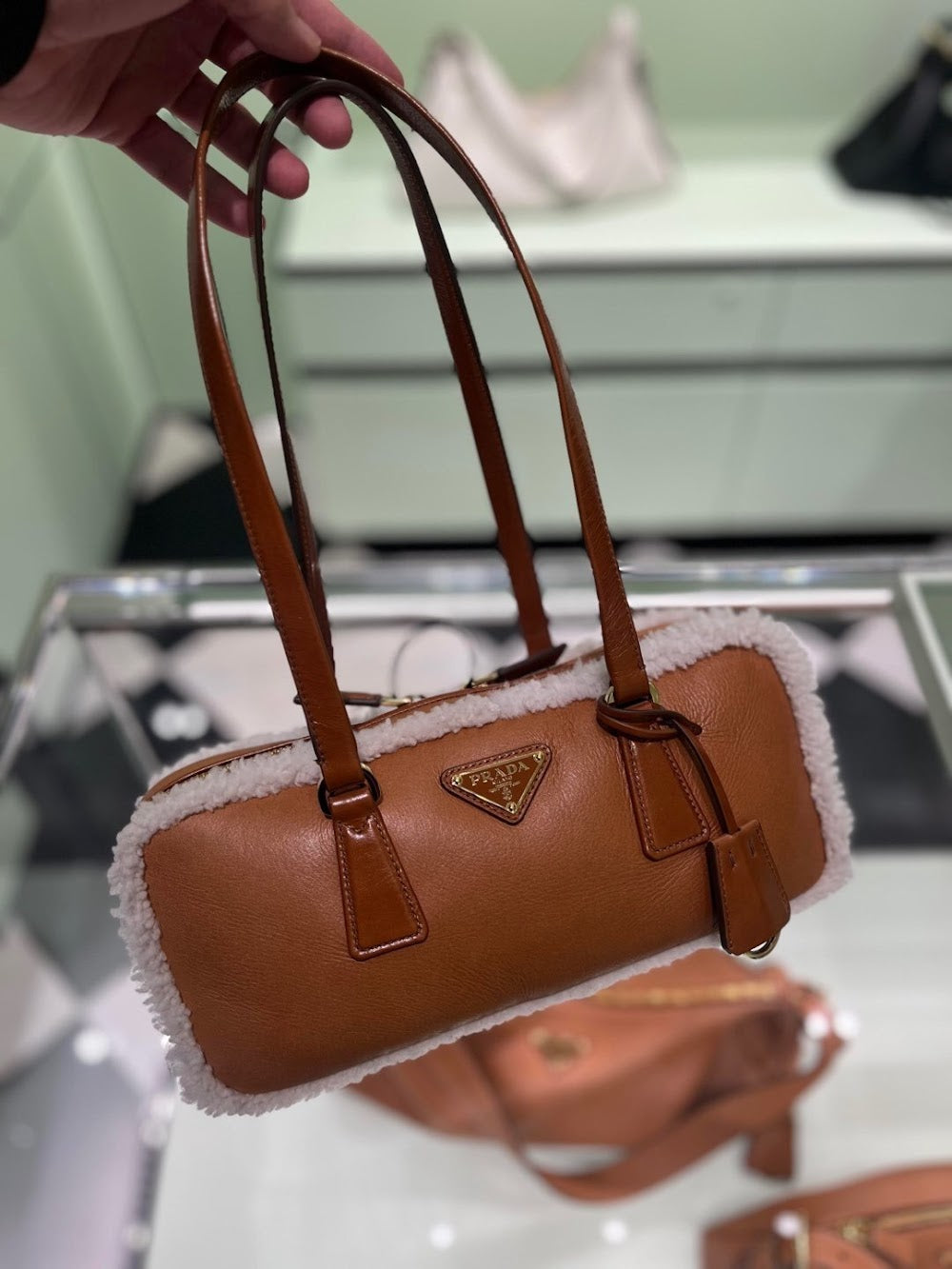 Dragons Bags Pradn Luxury Bag --102874
