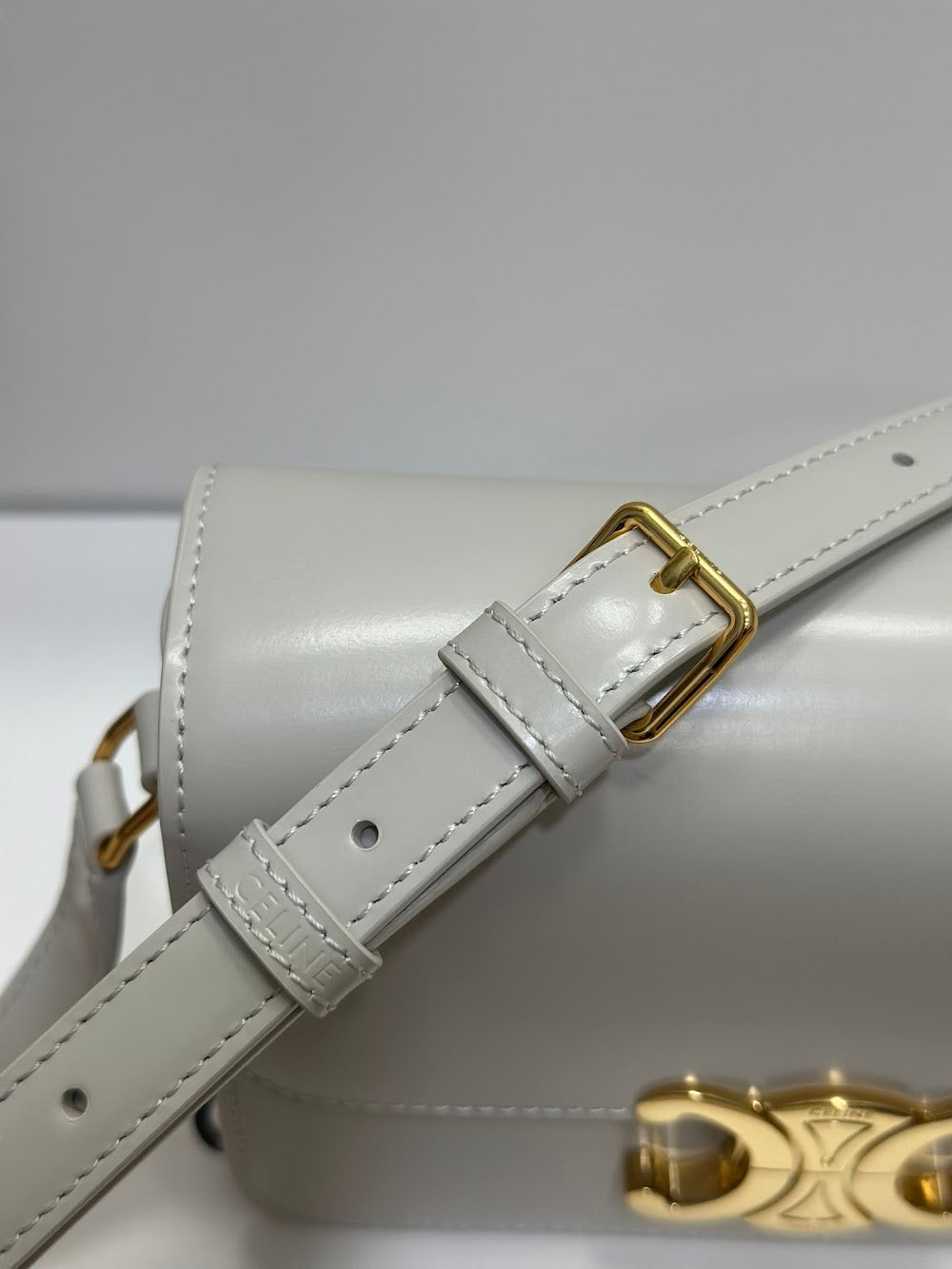 Dragons Bags Celine Luxury Bag --111998