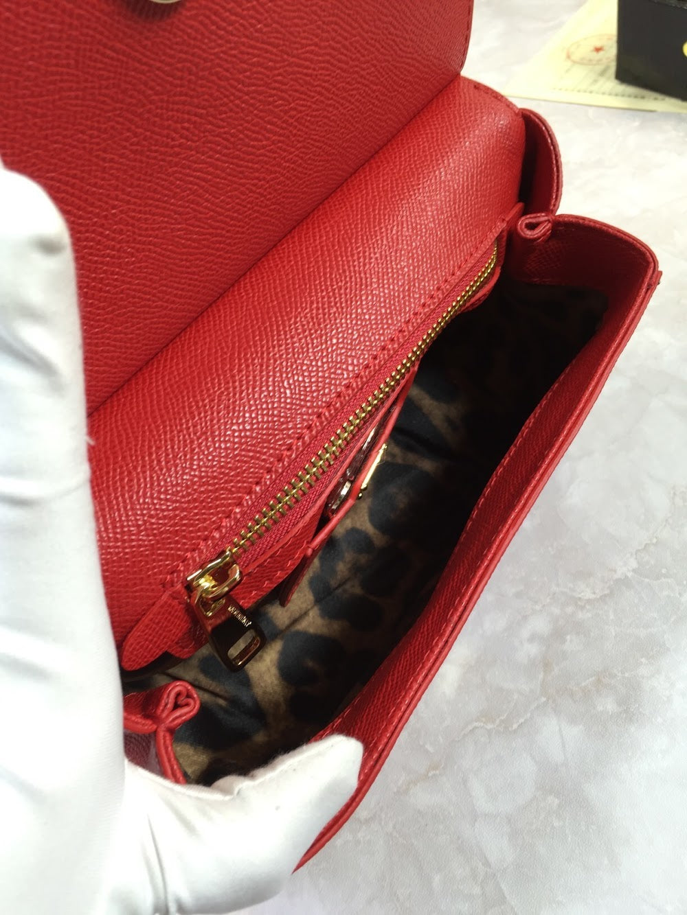 Dragons Bags DGn Luxury Bag --93178