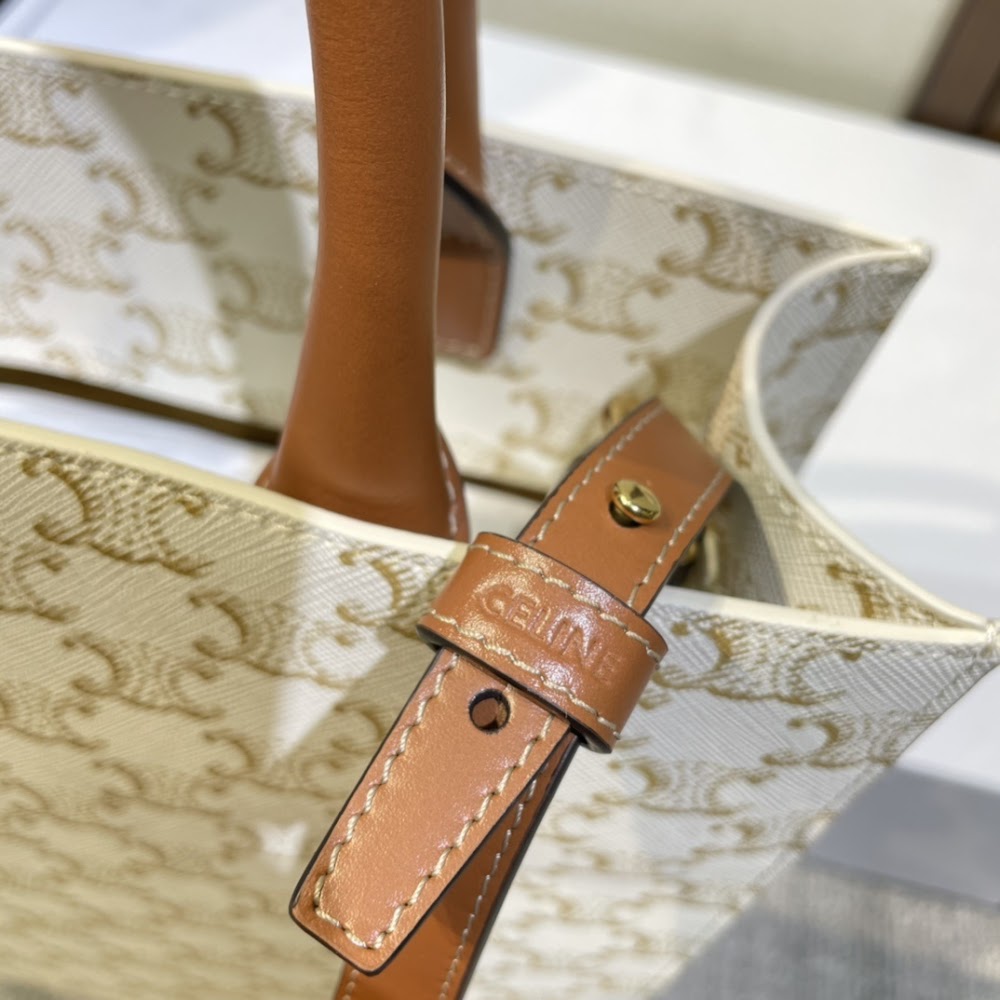 Dragons Bags Celine Luxury Bag --112401