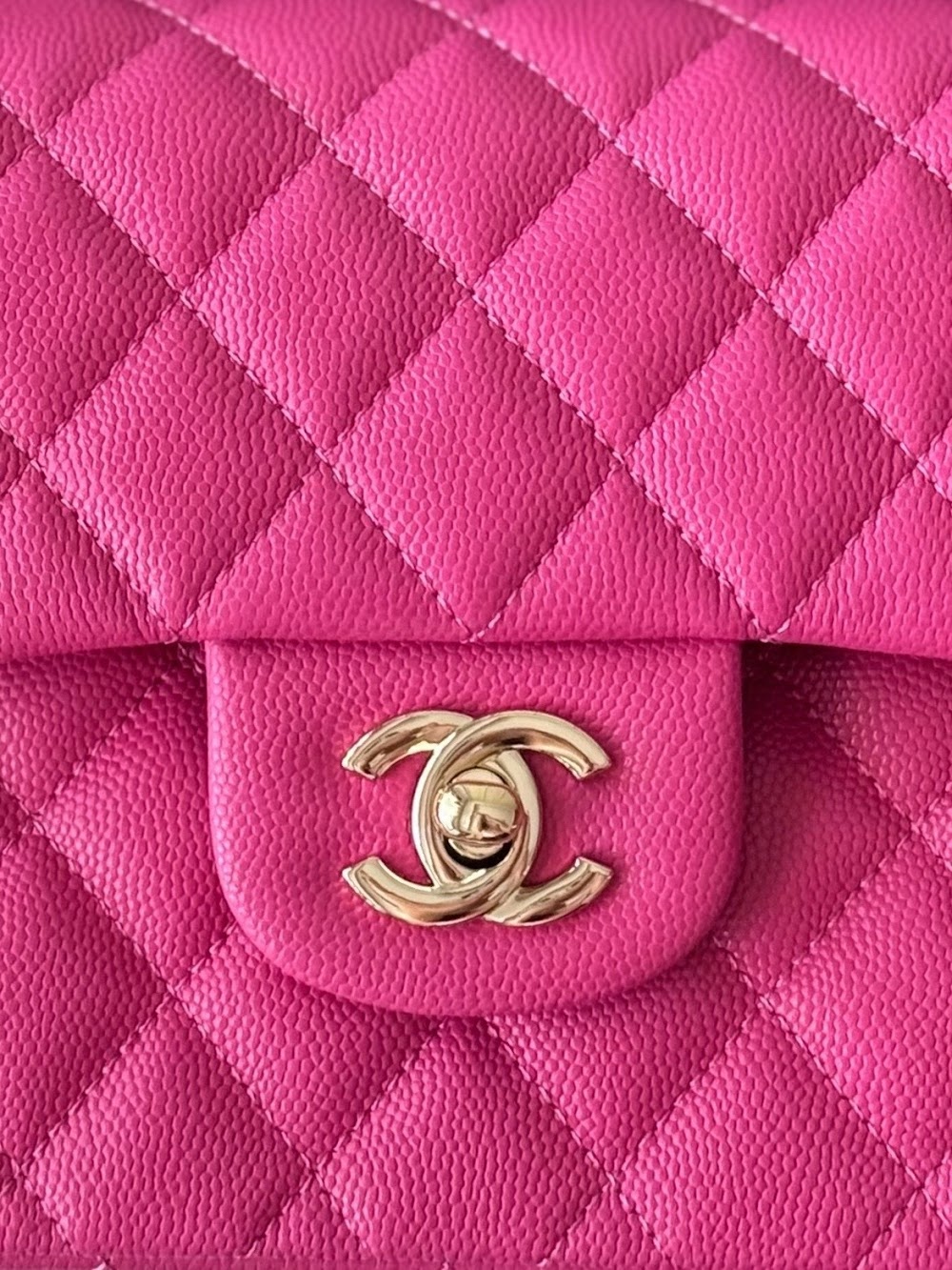 Dragons Bags CHn Luxury Bag --112763