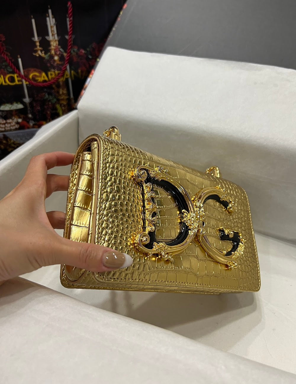 Dragons Bags DGn Luxury Bag --93545