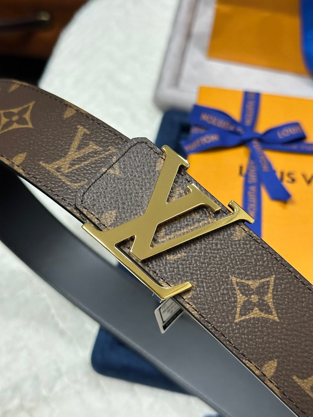 Dragons Bags ln Luxury Belt --100681