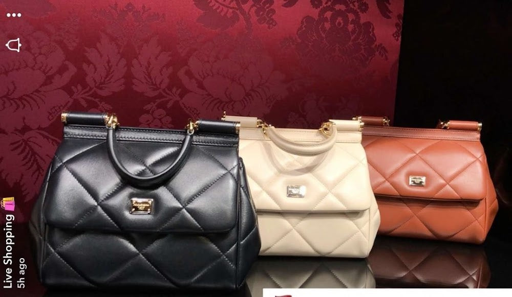 Dragons Bags DGn Luxury Bag --93221