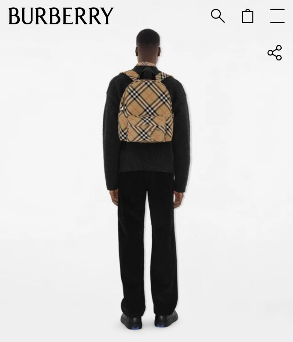 Dragons Bags Burberryn Luxury Bag --93026