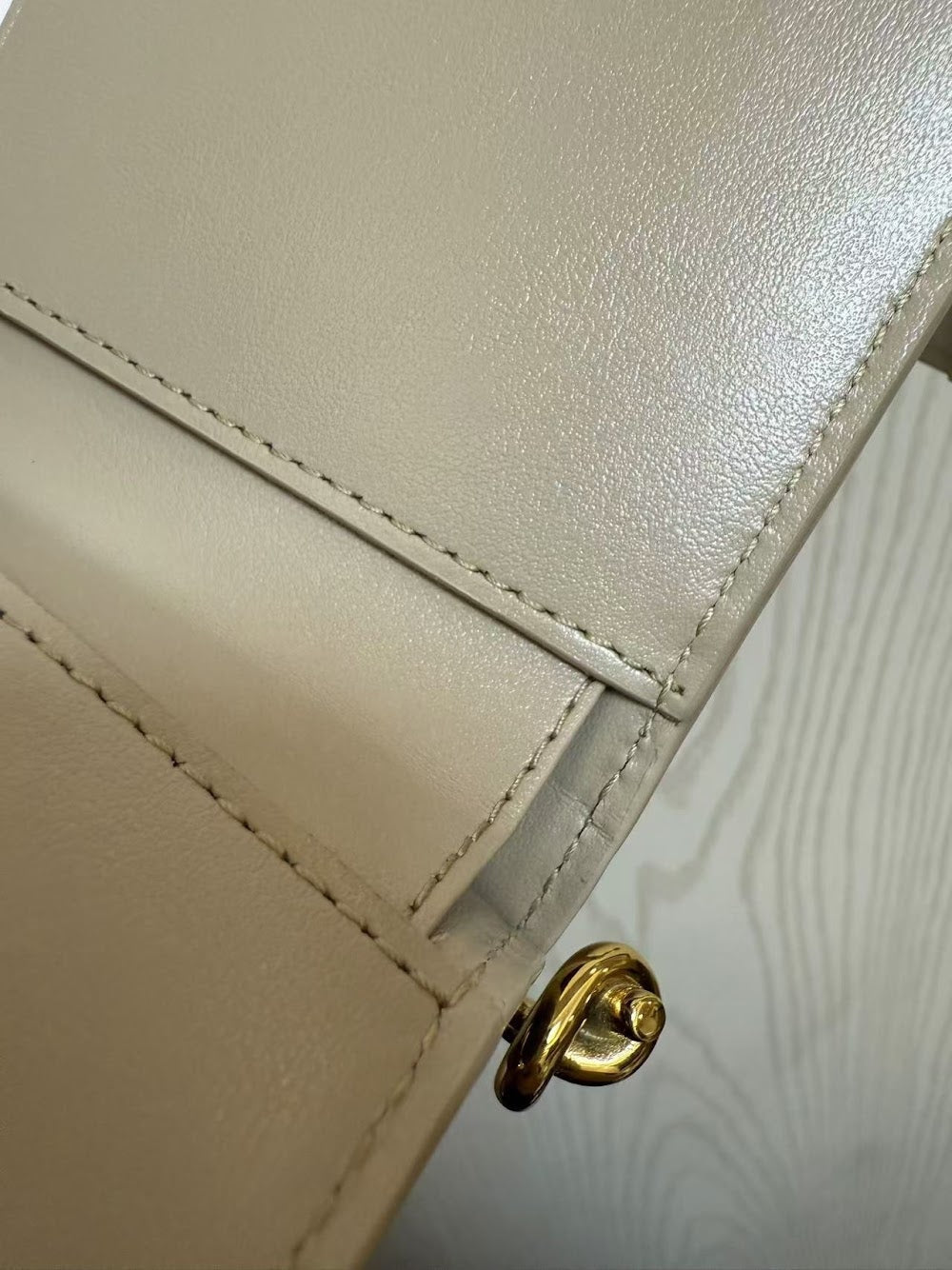 Dragons Bags Bottegan Luxury Bag --90698