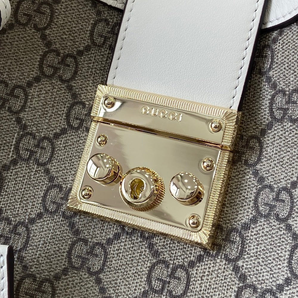 Dragons Bags Guccin Luxury Bag --94440