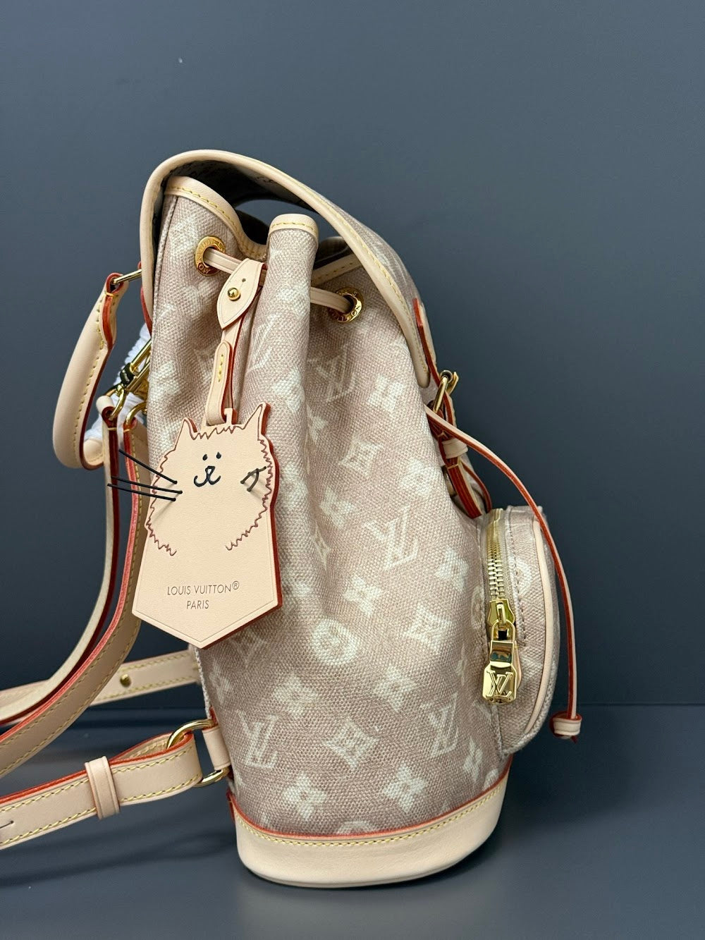 Dragons Bags ln Luxury Bag --96841