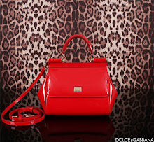 new-designer-premium-bags-nm6962