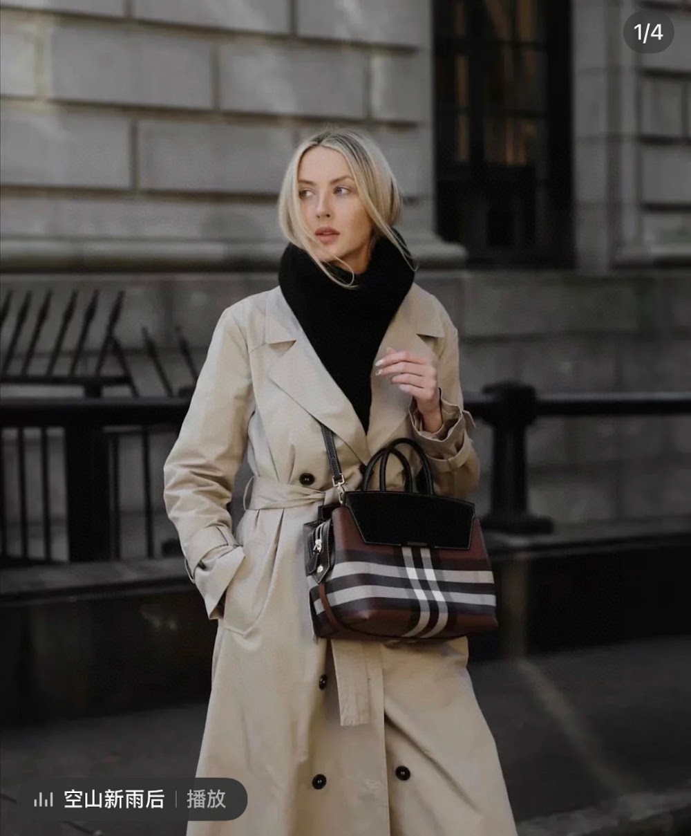 Dragons Bags Burberryn Luxury Bag --92840