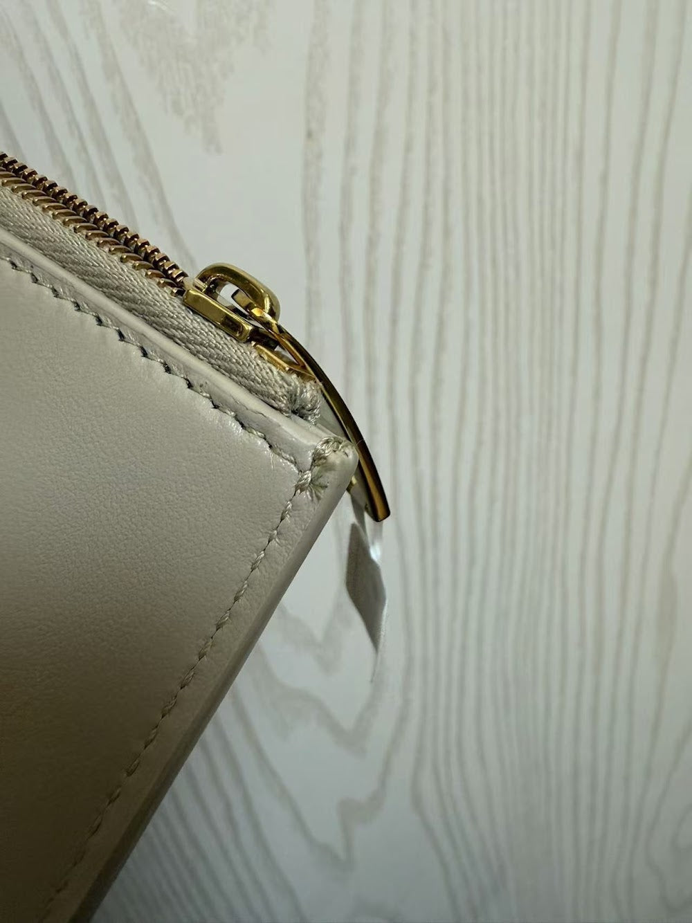 Dragons Bags Bottegan Luxury Bag --90698