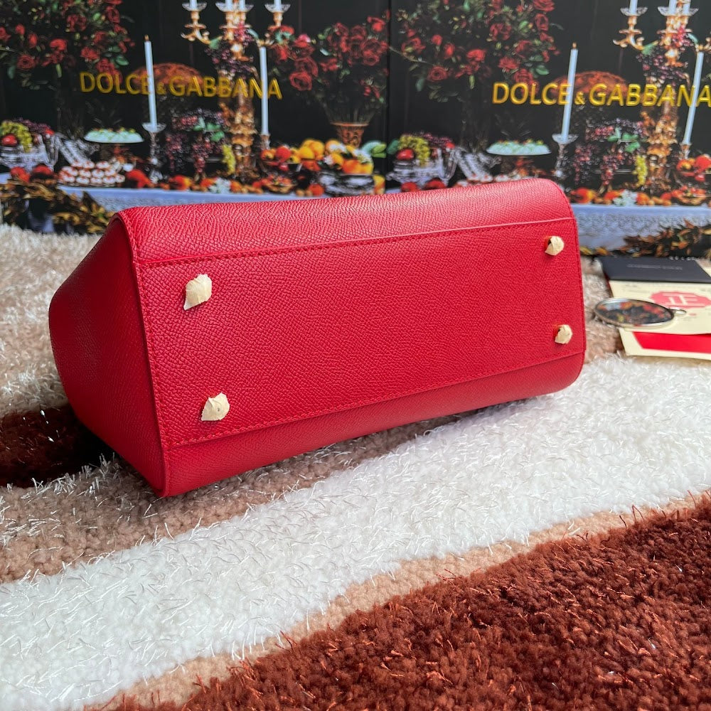 Dragons Bags DGn Luxury Bag --93996