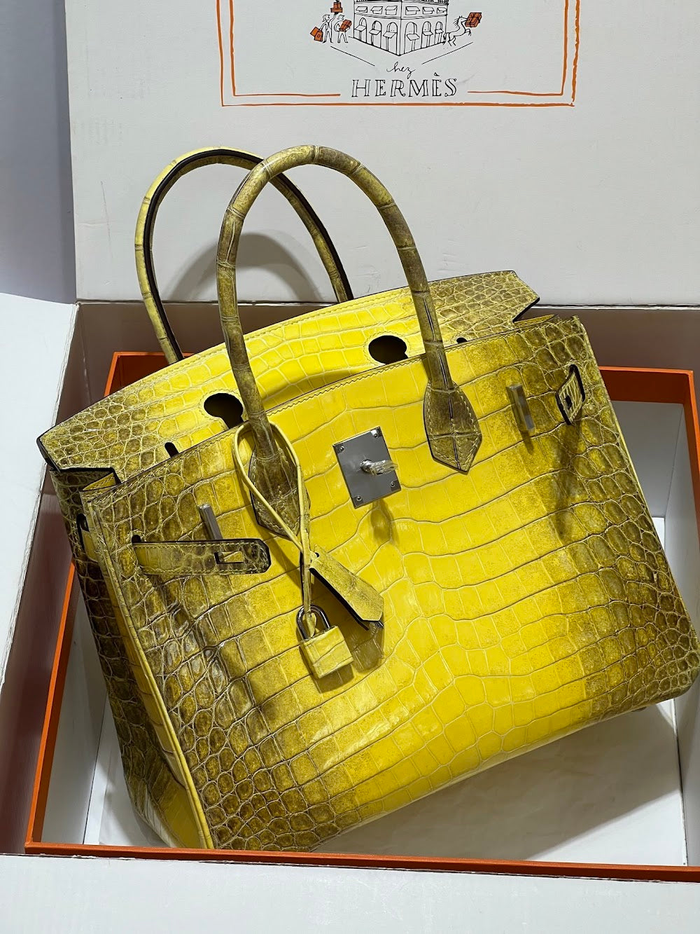 Dragons BagsHermesn Luxury Bag --117207