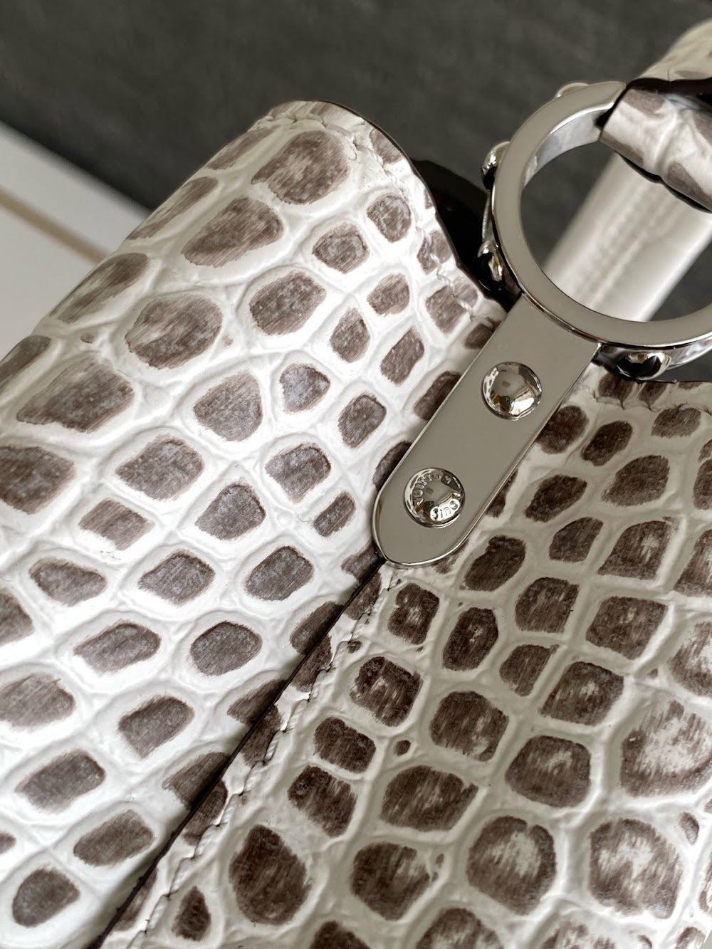 Dragons Bags ln Luxury Bag --96260