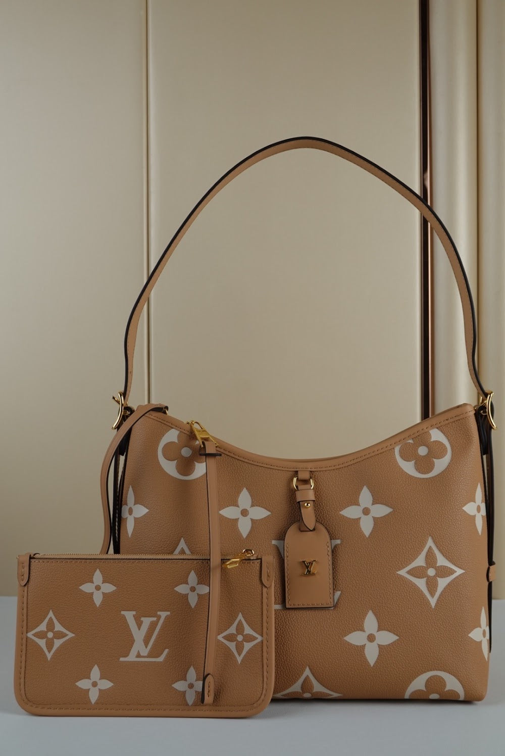 Dragons Bags ln Luxury Bag --67816