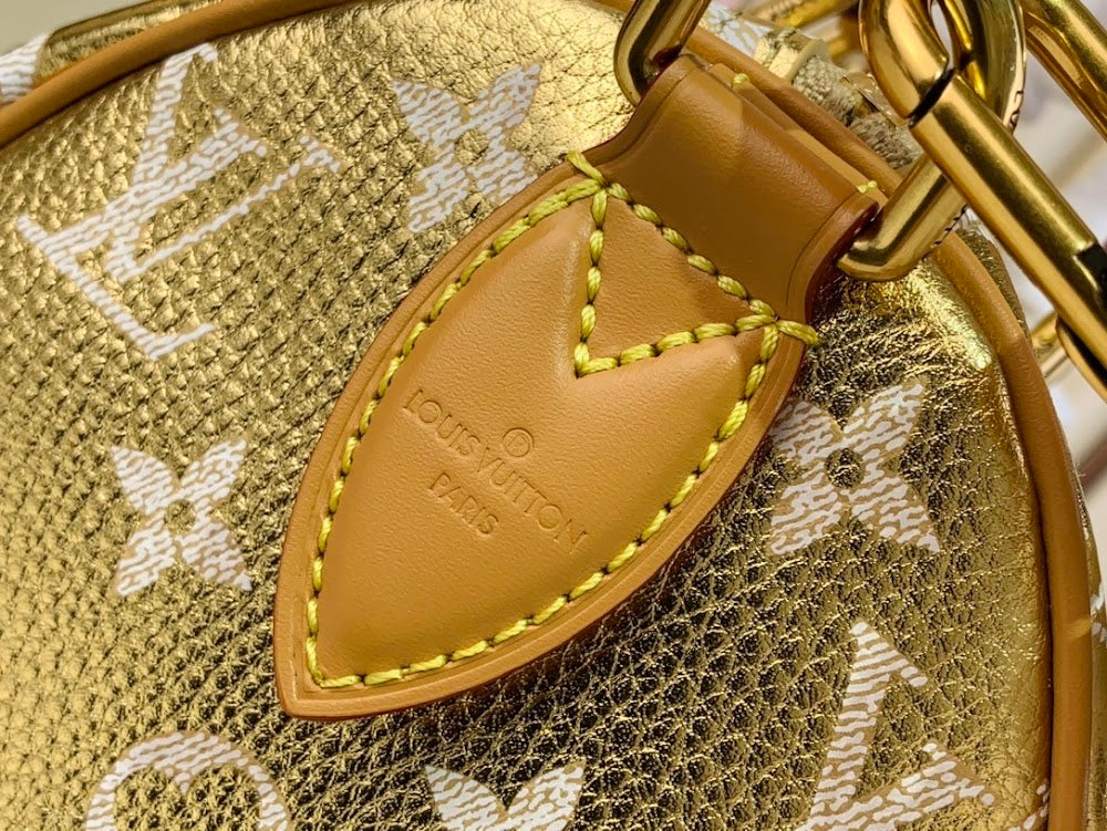 Dragons Bags LV Luxury Bag --55873