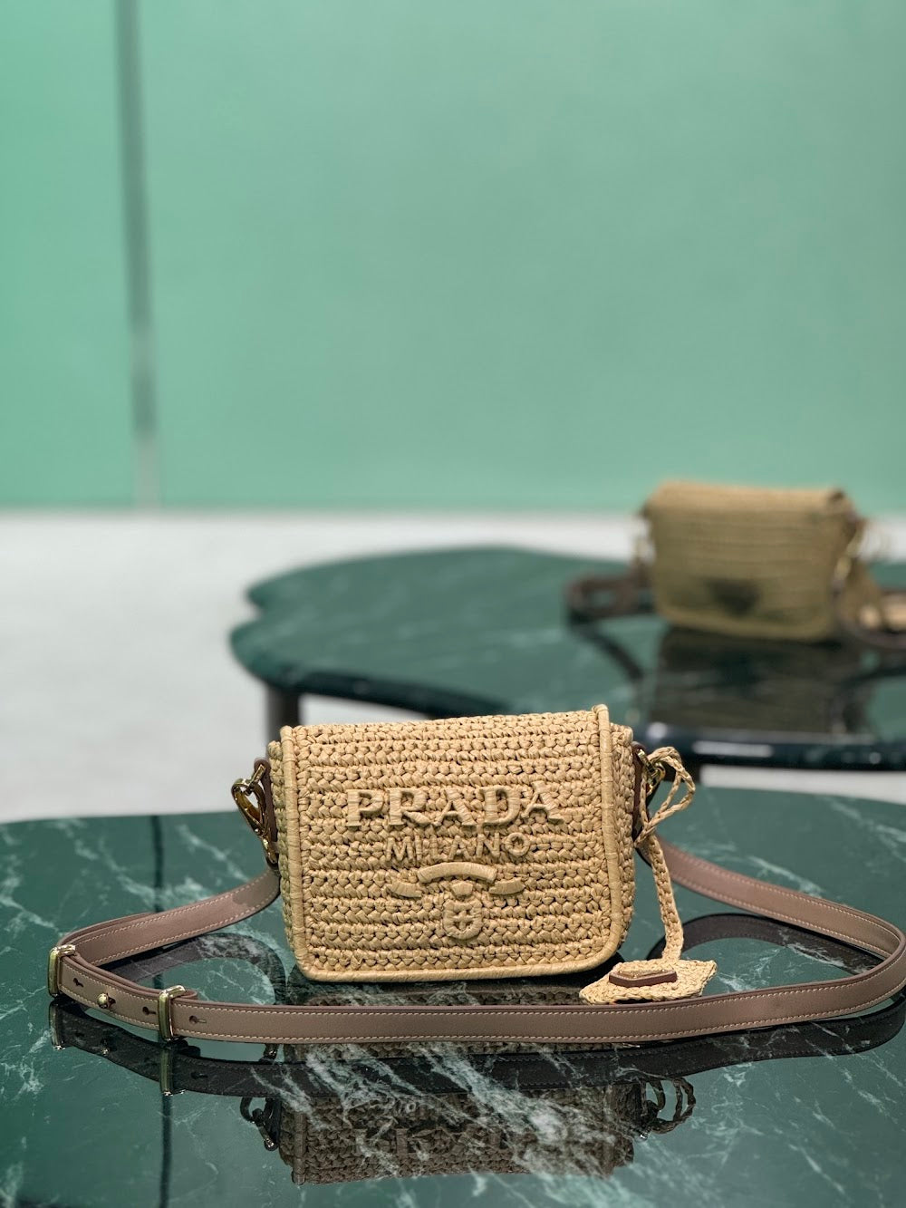 Dragons Bags Pradn Luxury Bag --102070