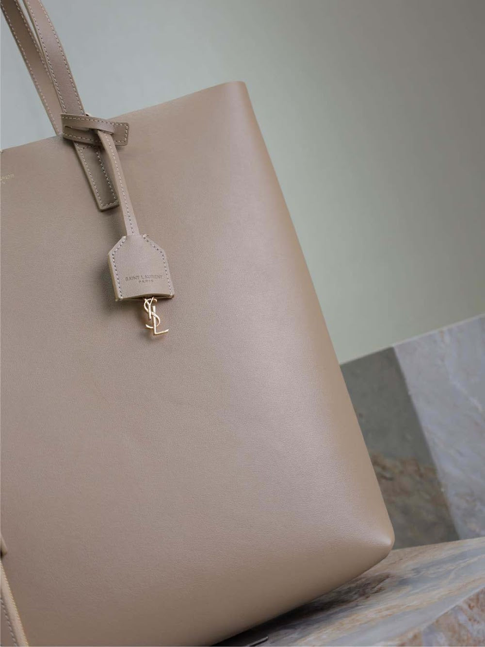 Dragons Bags YSLn Luxury Bag --119270