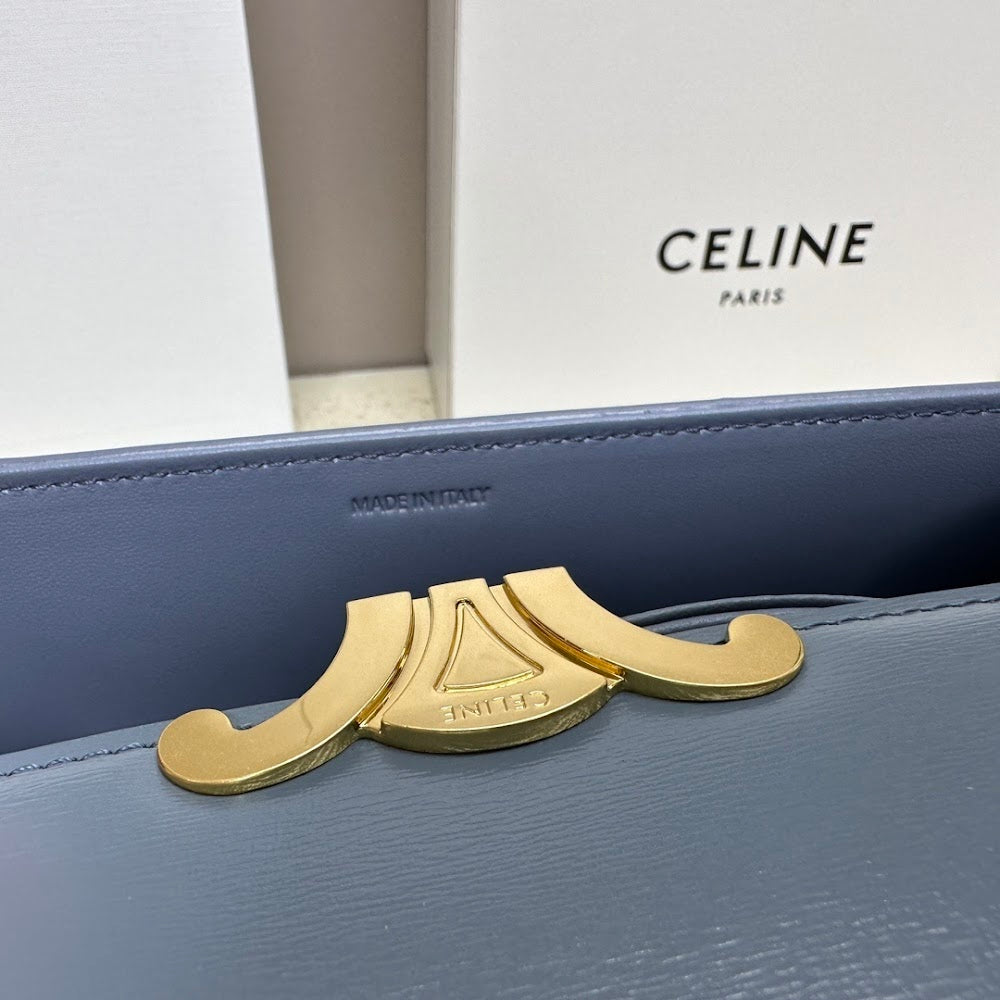 Dragons Bags Celine Luxury Bag --112467