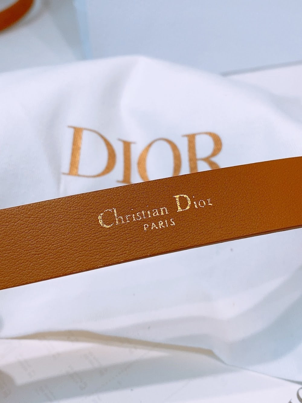Dragons Bags Diorn Luxury Belt --107726
