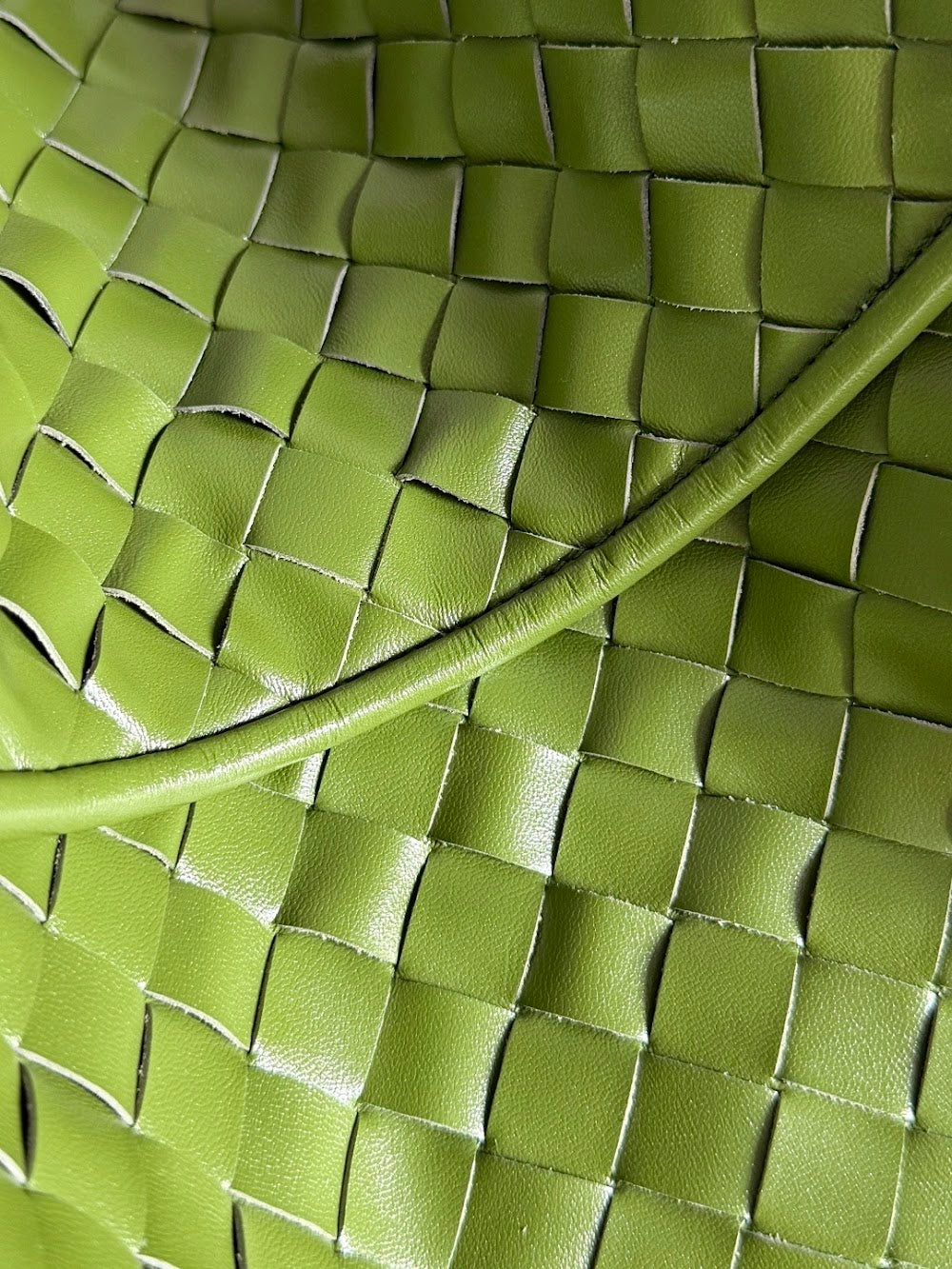 Dragons Bags Bottegan Luxury Bag --90452