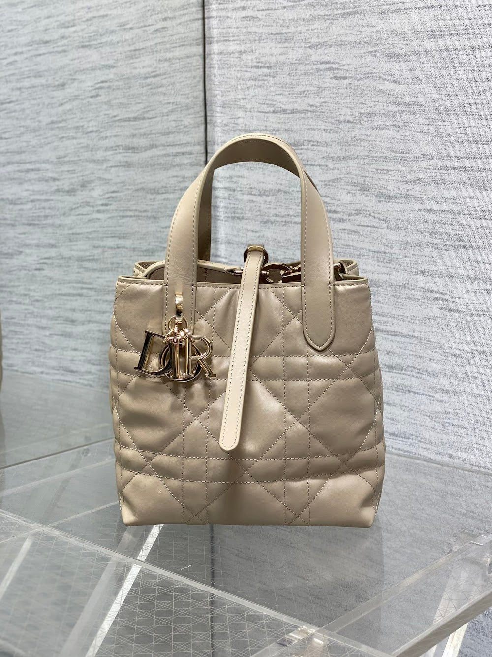 Dragons BagsDiorn Luxury Bag --115663