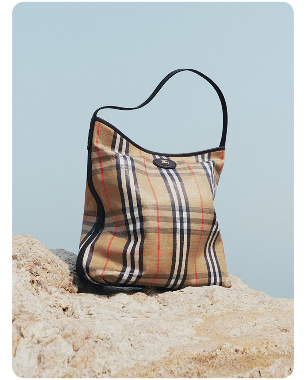Dragons Bags Burberryn Luxury Bag --92930