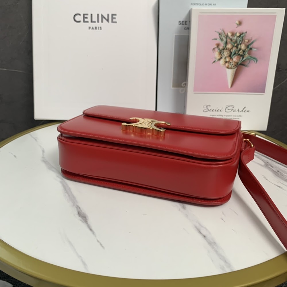 Dragons Bags Celine Luxury Bag --111992