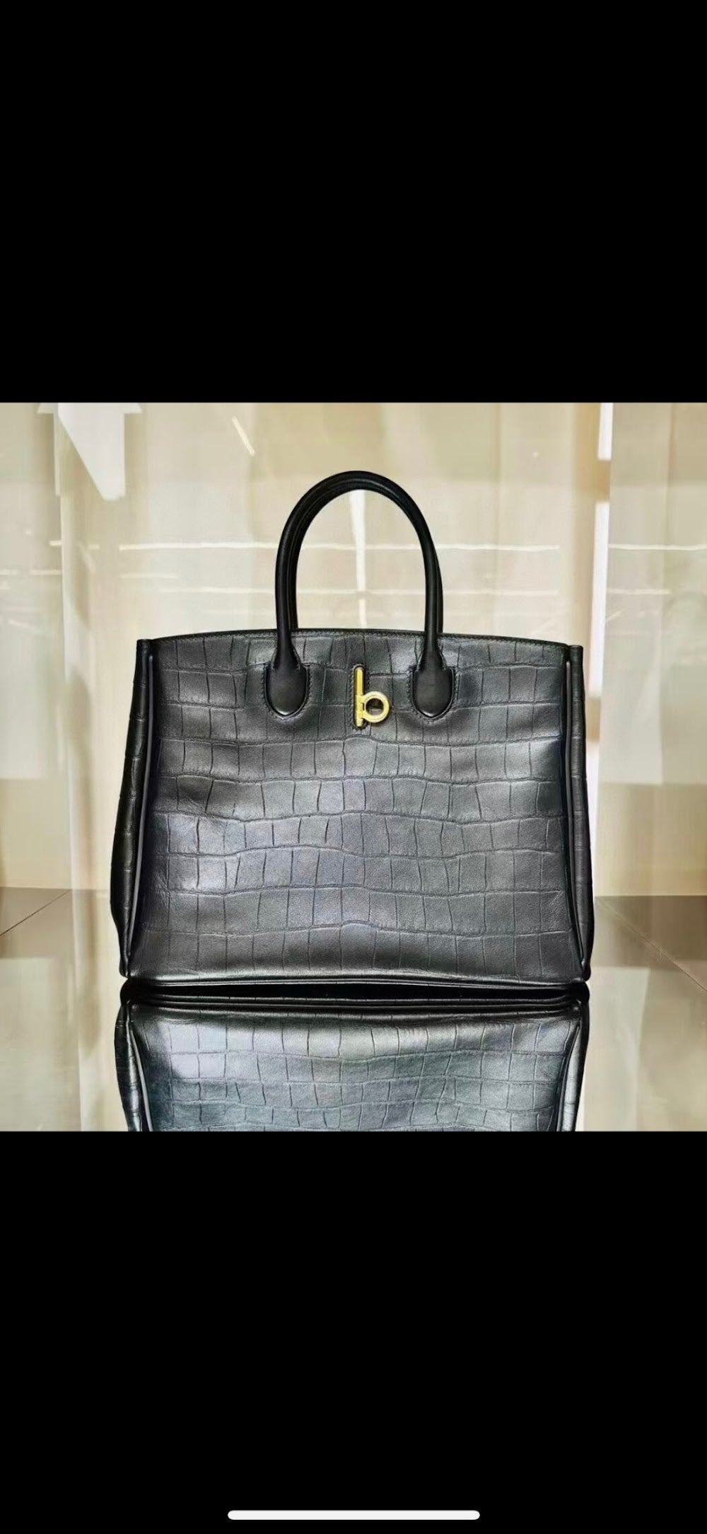 Dragons Bags Burberryn Luxury Bag --92822