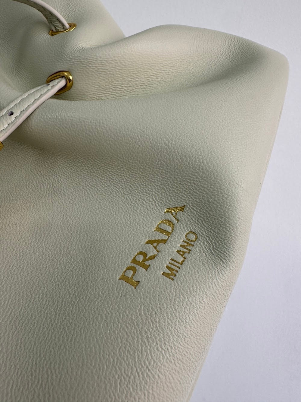 Dragons Bags Pradn Luxury Bag --101580