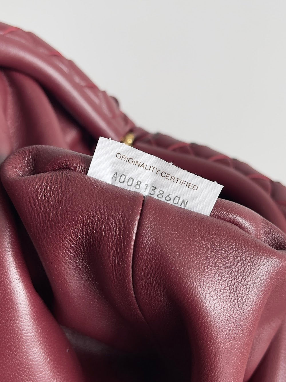 Dragons Bags Bottegan Luxury Bag --91273
